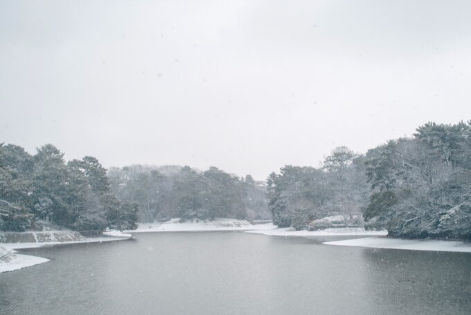 大池公園　雪2025.2.8